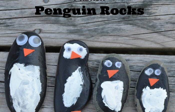 paintedpenguinrocks