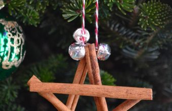 Cinnamon-Star-Ornament11
