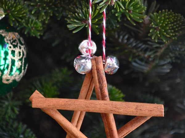 Cinnamon-Star-Ornament11