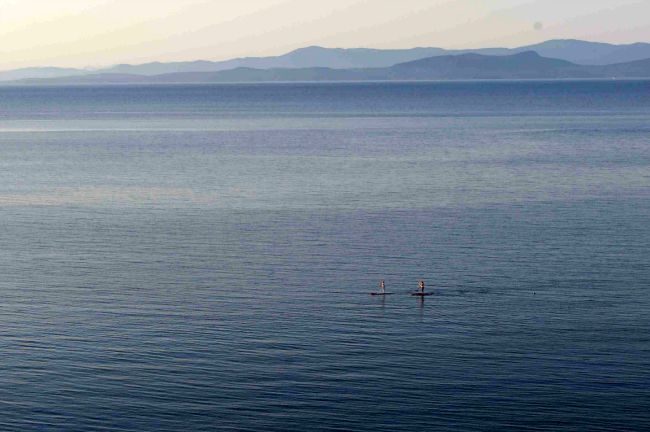 2-Paddleboarders