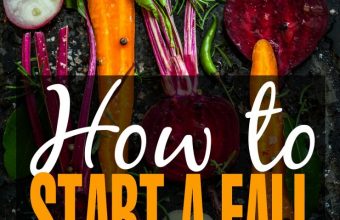 fall-vegetable-garden
