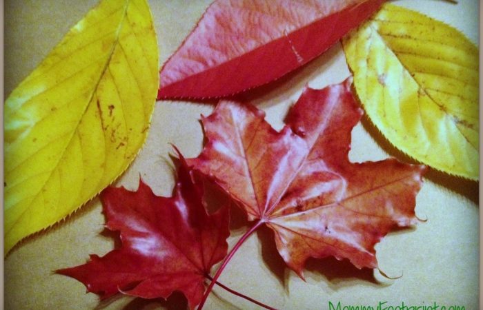 leaf_post-dip-new-1024x772