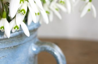 Snowdrops-Centerpiece-Shop-Girl
