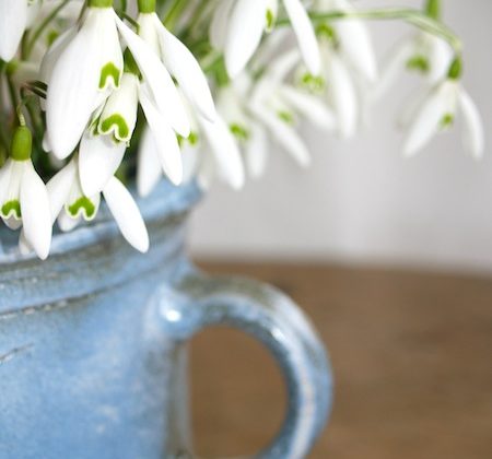 Snowdrops-Centerpiece-Shop-Girl
