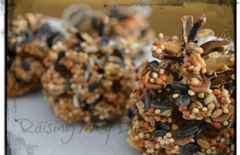 pineconewatermark