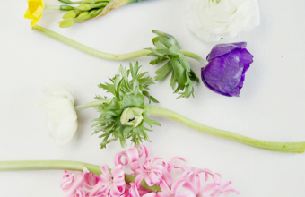Wallpaper-Scattered-Flowers-bright