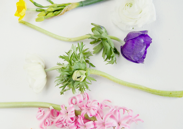 Wallpaper-Scattered-Flowers-bright