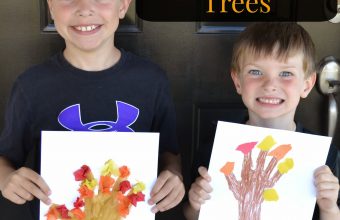 cbc_fall2Btrees_teaser