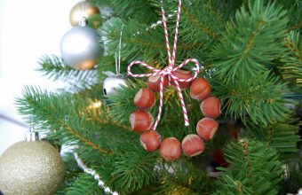 Hazelnut-Ornament