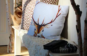ENTRY-BENCH-WITH-PILLOWS