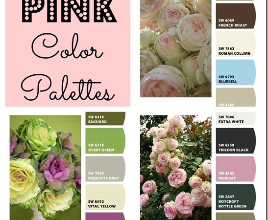 Pink-decor-Color-Palettes