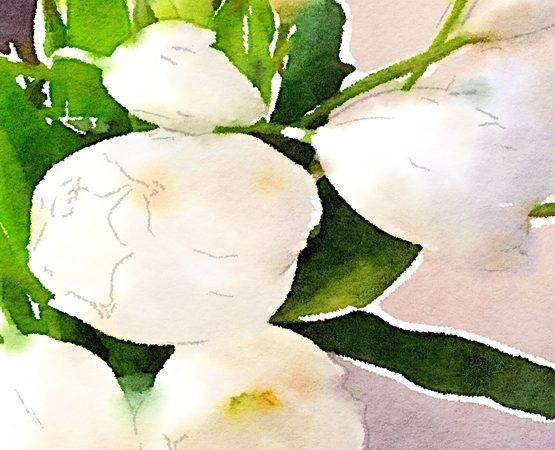 Waterlogue-tulip-art-diy