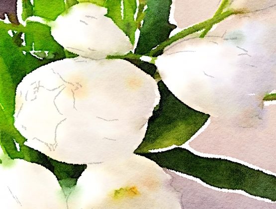 Waterlogue-tulip-art-diy