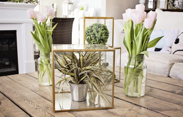 aka-design-coffee-table-birch-lane-glass-boxes