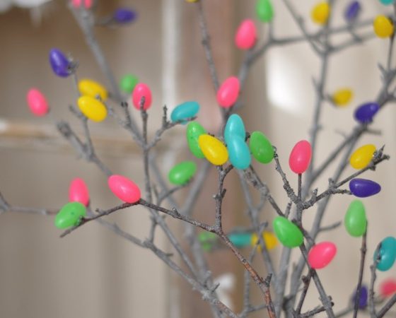 jelly-bean-tree-1