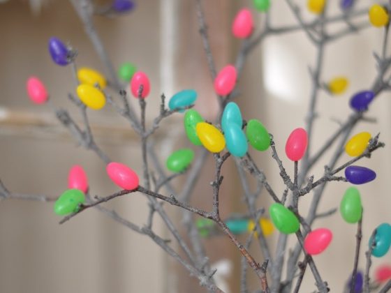 jelly-bean-tree-1
