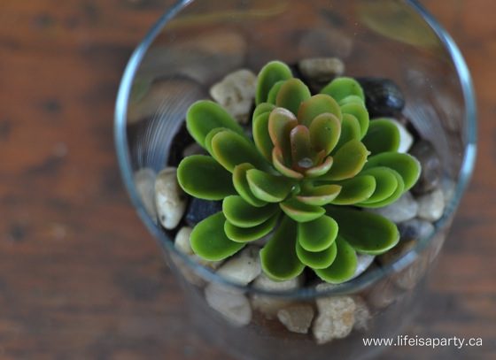 how-to-make-your-faux-fake-succulents-look-real-8