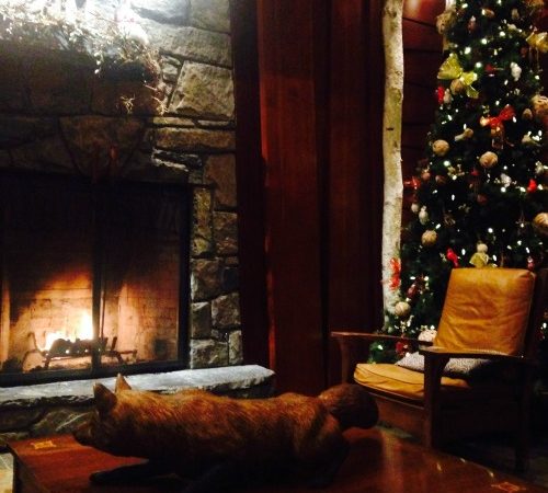 fire-and-christmas-tree
