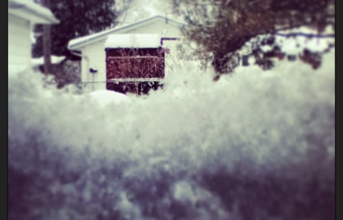 winter