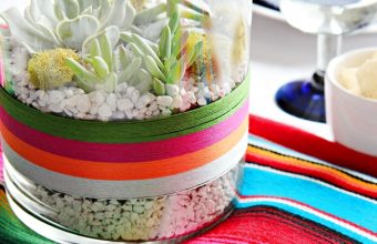 diy-succulent-terrarium-for-cinqo-de-mayo