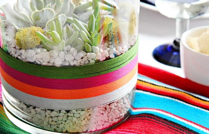 diy-succulent-terrarium-for-cinqo-de-mayo