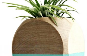 contemporary-indoor-pots-and-planters