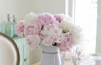 pink-peonies-shabbyfufu-summer1