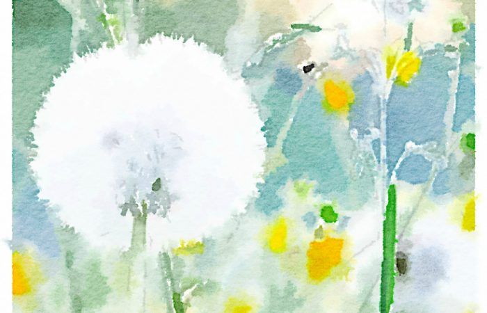 free-floral-art-printable-5