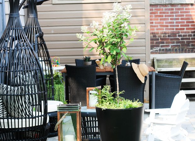 bluebird-kisses-patio-tour