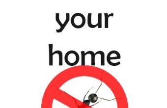 Natural-ways-to-get-rid-of-ants-spiders-flies-and-more-in-your-home