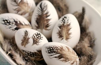 feather-eggs-2