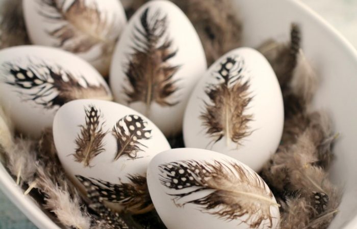 feather-eggs-2