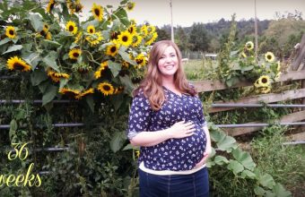 36_weeks1