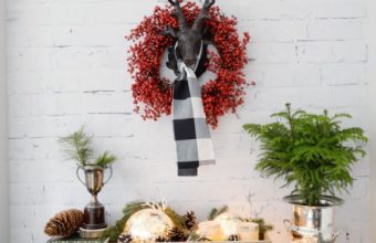 christmas-tour-2016-7-521x780