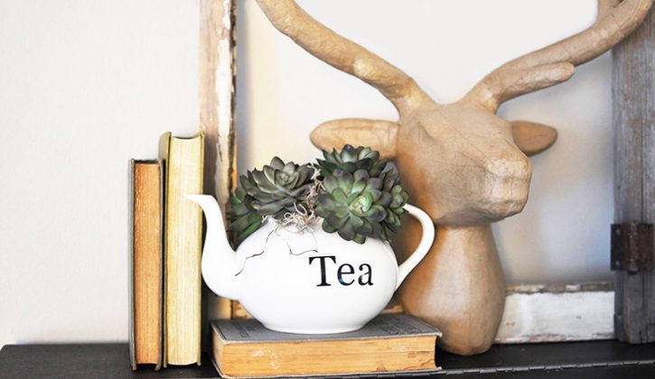 Succulent-Planter-Teapot1