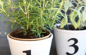 diy-herb-pots-with-numbers-3