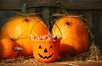 Things to Do in October - SavvyMom