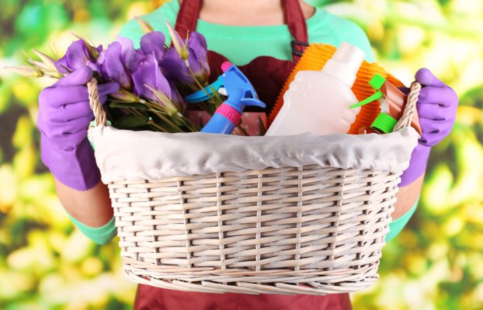 shutterstock_184215752