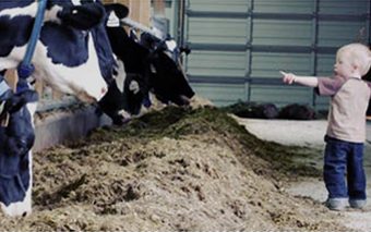 COWS