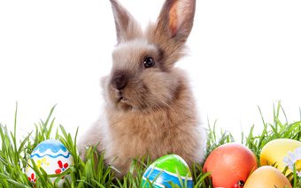 easter_events_in_vancouver_for_kids_2014