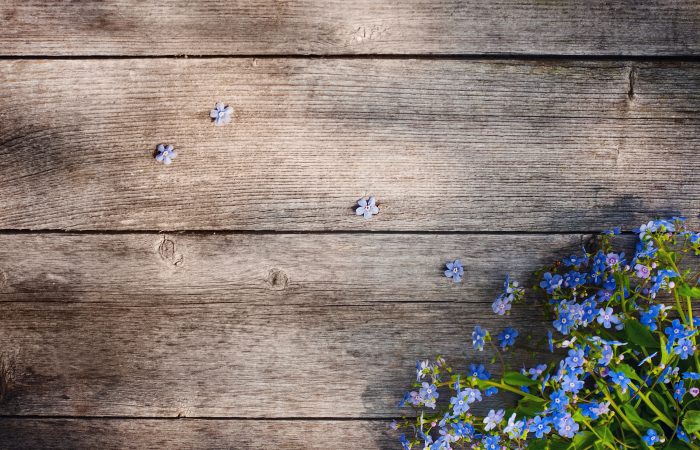 shutterstock_128915693