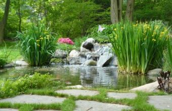 pond