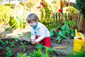 Community Gardens