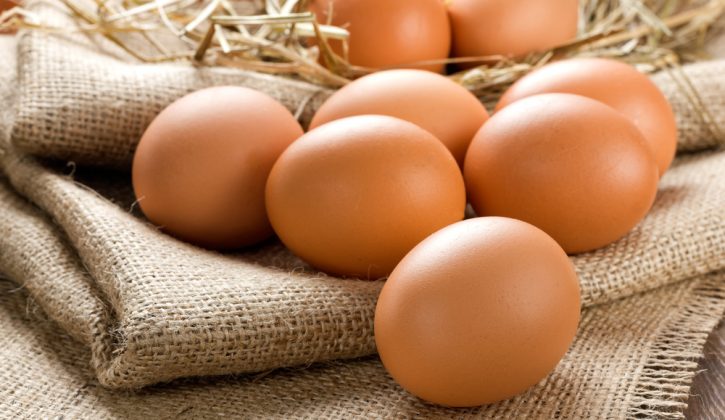 Eggs and Babies: Debunking 'First Foods' Myths