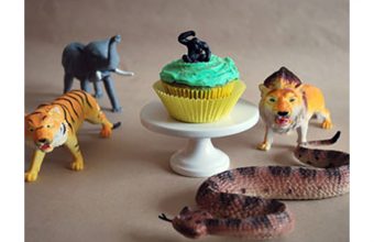 Jungle Funfetti Cupcakes
