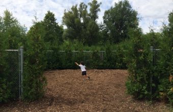 Free Activities in Toronto with Kids
