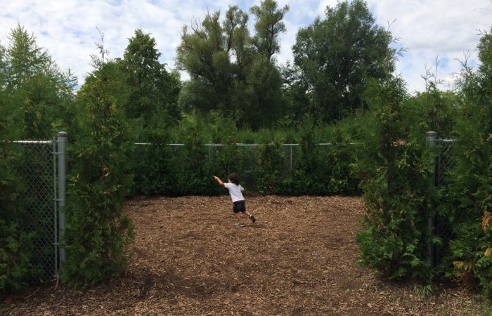 Free Activities in Toronto with Kids