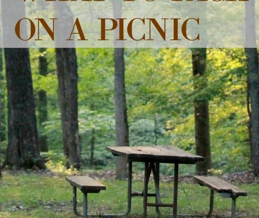 pack-for-a-picnic