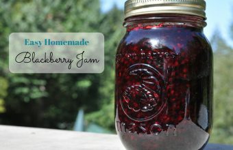 Easy Blackberry Jam Recipe