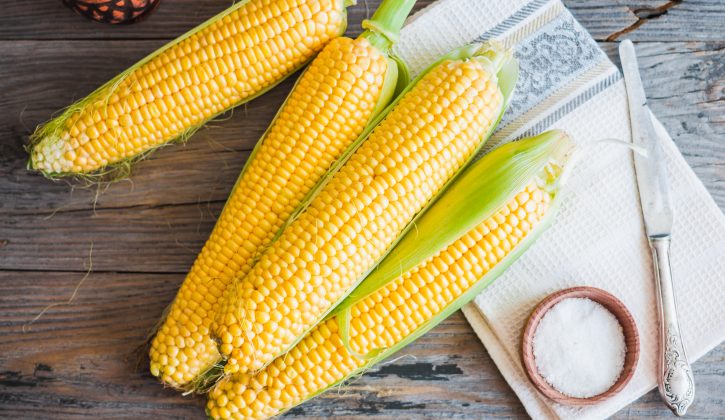 Corn Recipes - SavvyMom